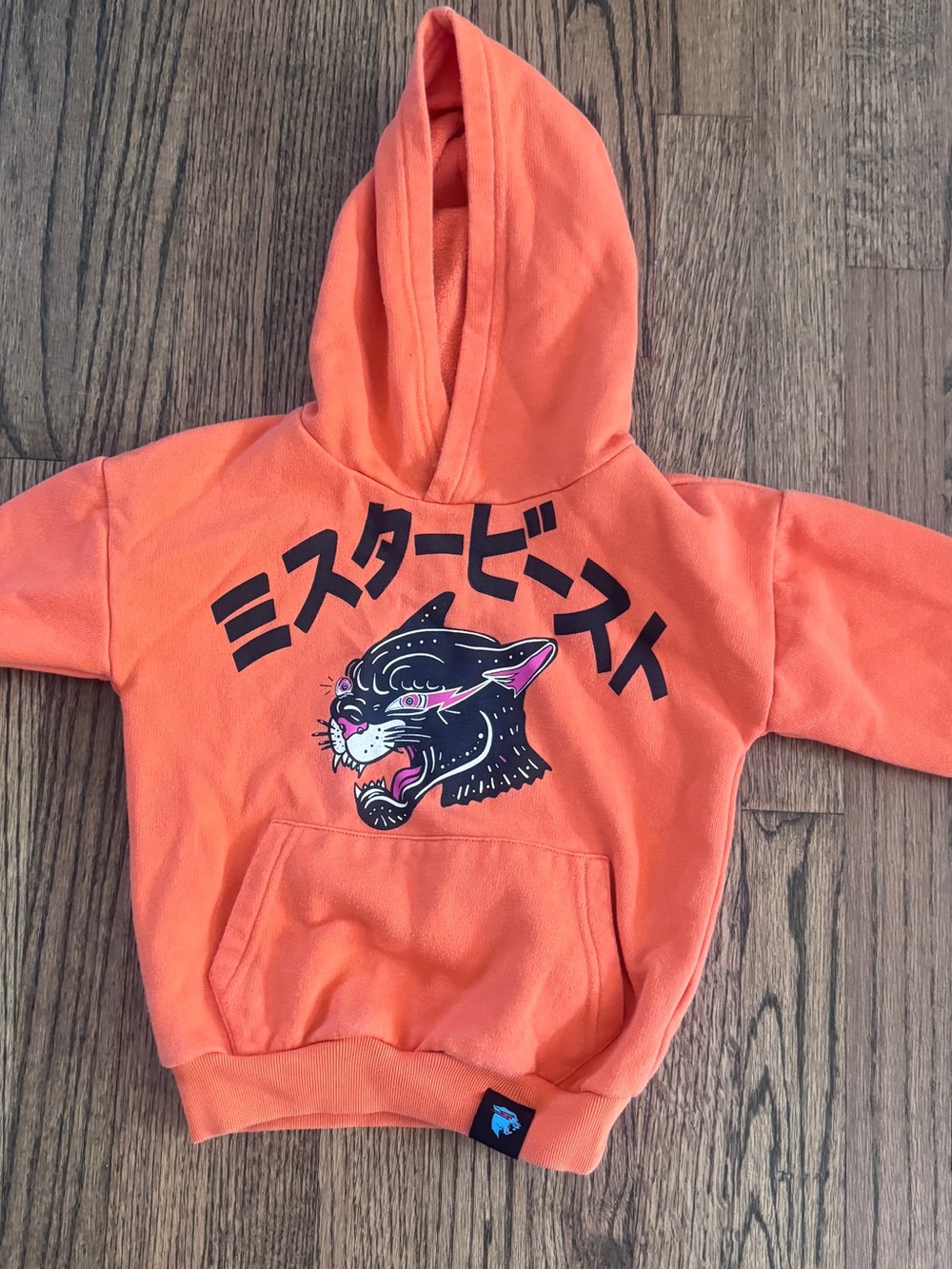 Kids Orange Panther Graphic Hoodie